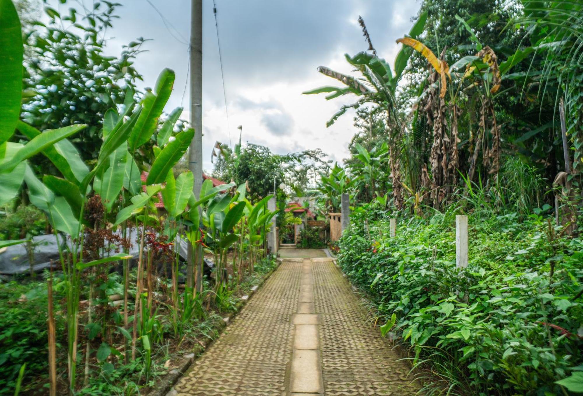 אובוד Prayatna Villas מראה חיצוני תמונה